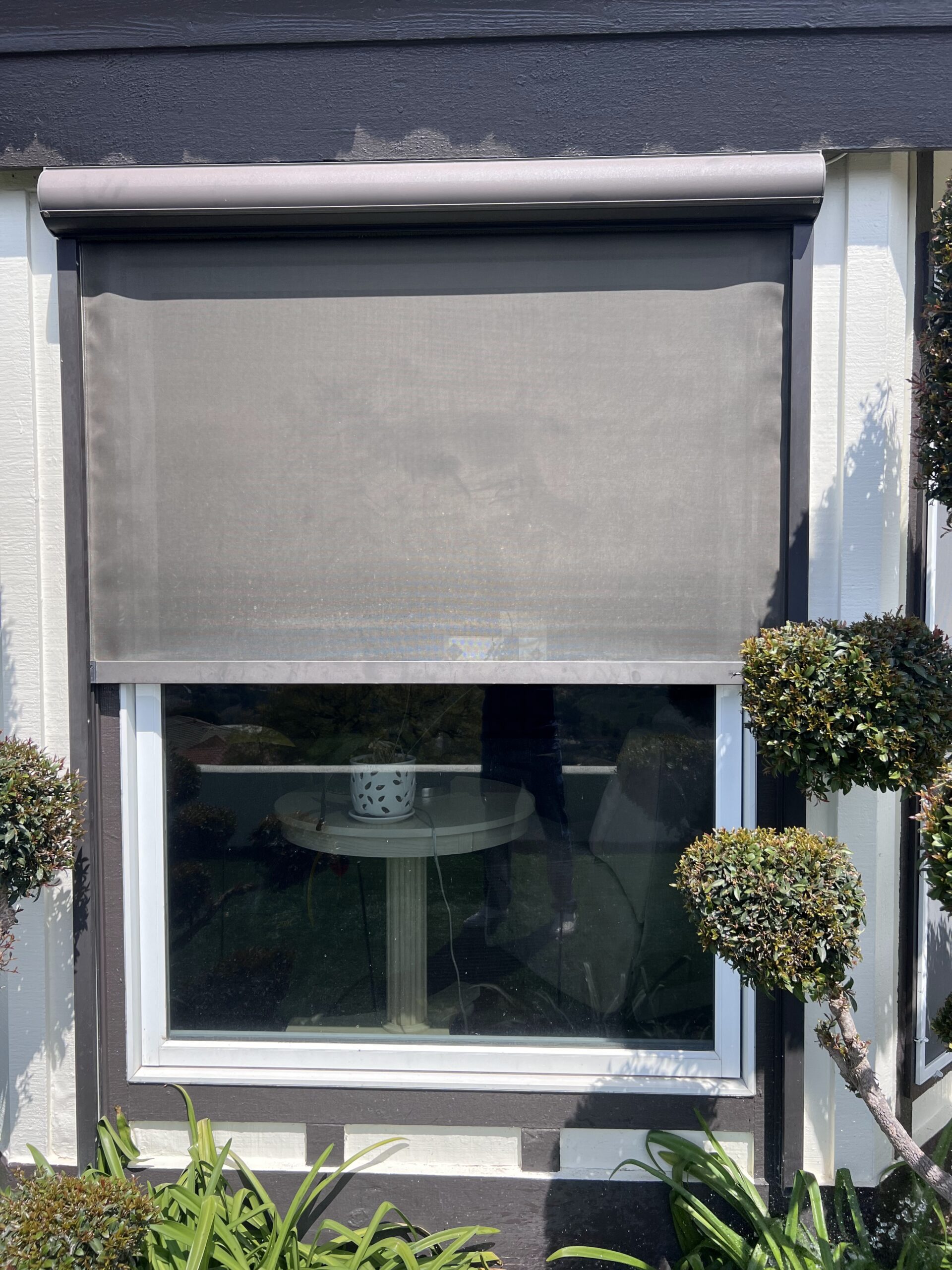 Custom Exterior Window Shading